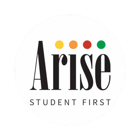 ARISE – Intelligence Unit